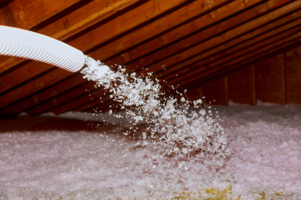 Best Commercial Insulation in Shady Hills, FL