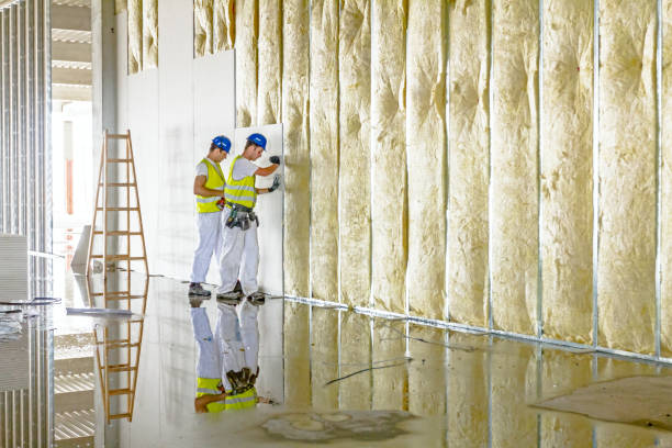 Best Insulation for Specific Applications in Shady Hills, FL